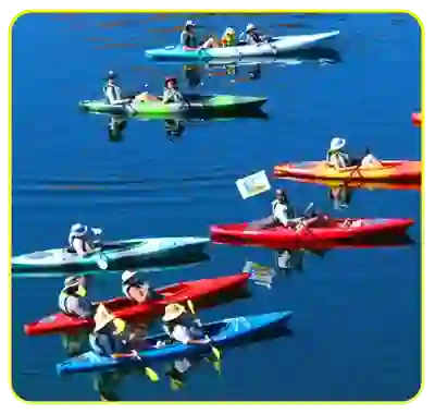Kayak Group Tours